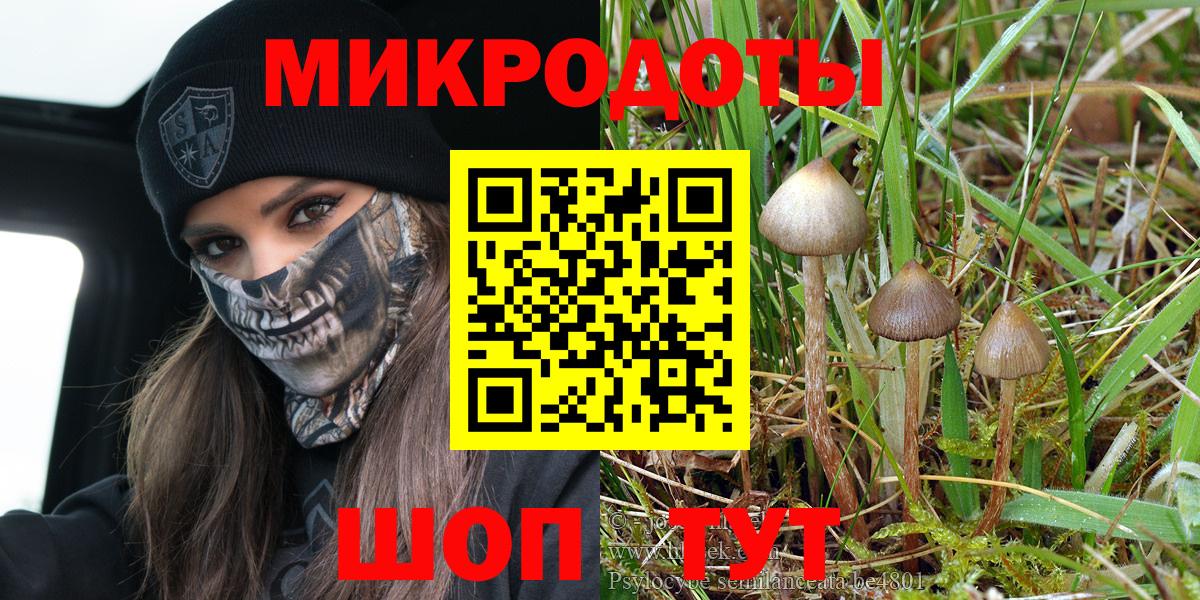 Галлюциногенные грибы Magic Shrooms Гатчина