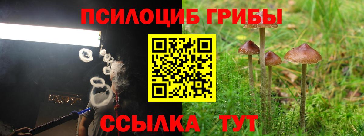 Гатчина  Галлюциногенные грибы MAGIC MUSHROOMS  Псилоцибиновые грибы MAGIC MUSHROOMS  Вход с VPN 